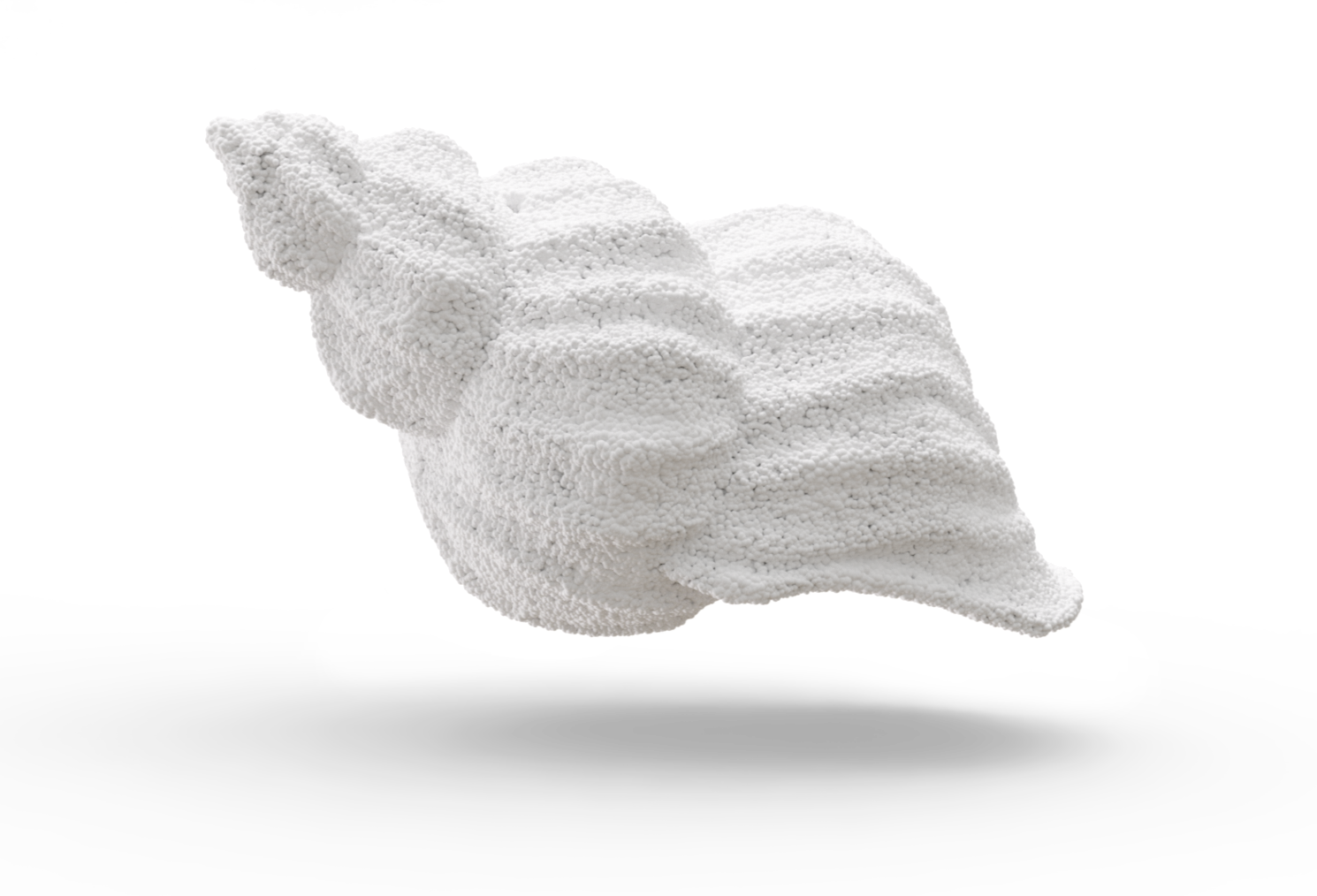 Muschel_mit_Schatten