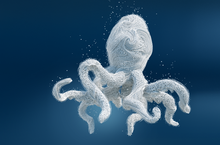 Oktopus